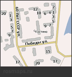 Карта Костино Навител